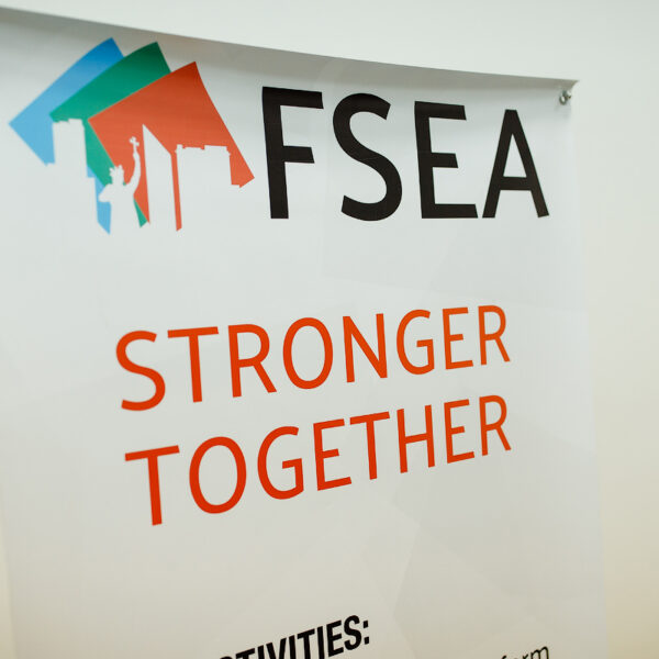 FSEA annual report 2016
