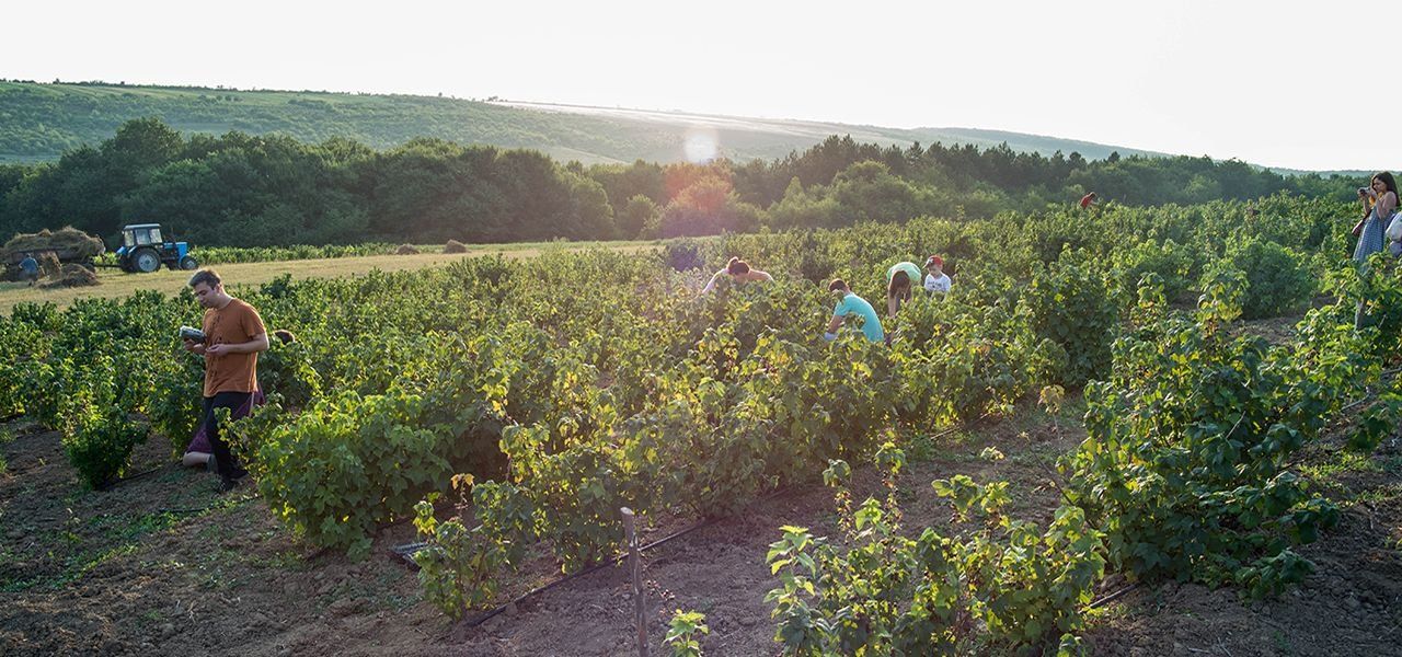 viber_image_2021-07-09_15-51-46-789